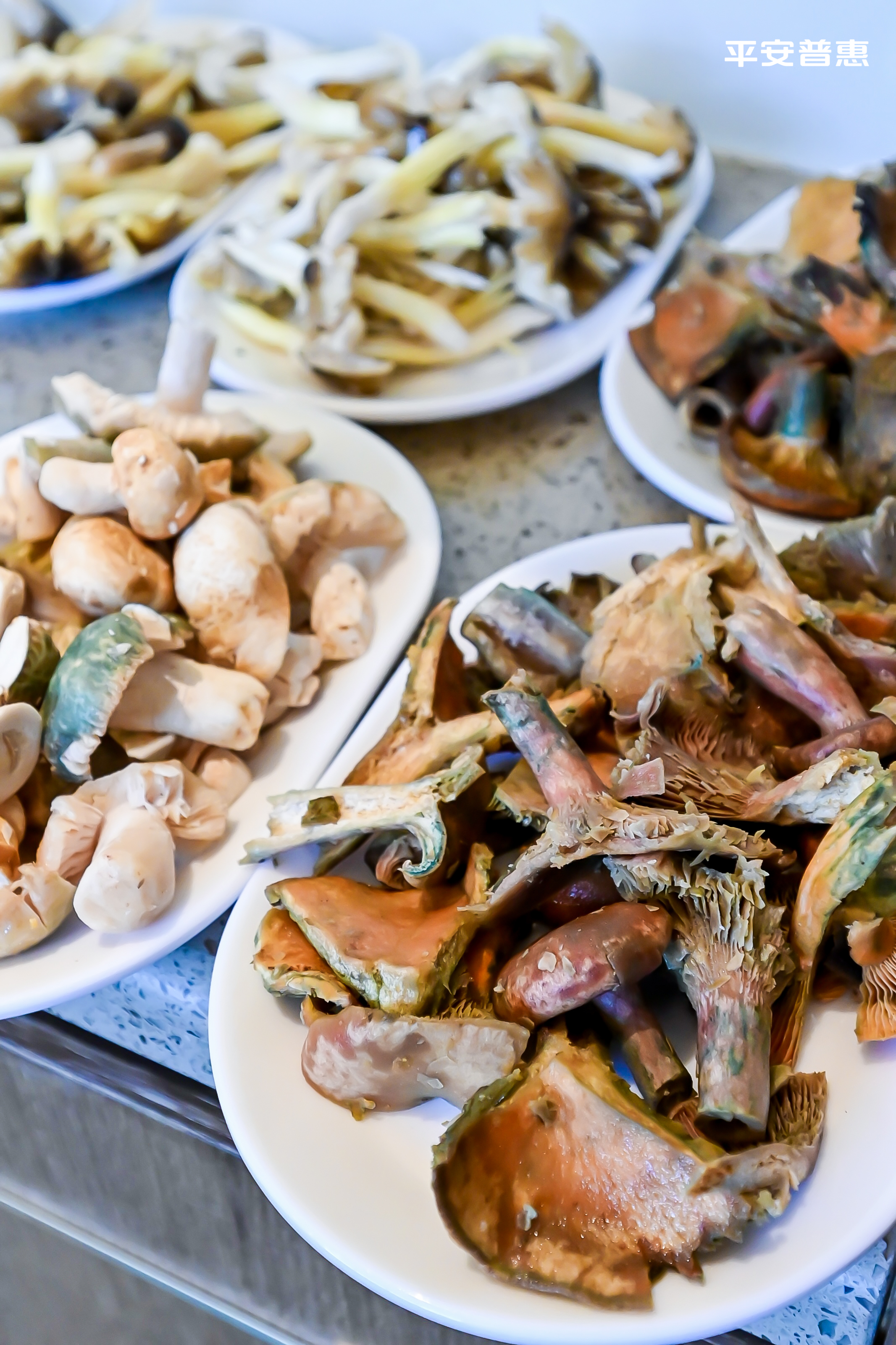 野生菌食材